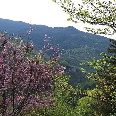 Siat Apartment Queralbs